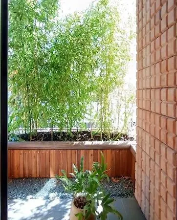 Introvert's Den * 티라나
